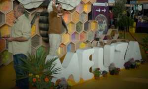 A contagem decrescente já começou