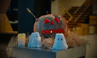 Halloween na JGS beekeeping