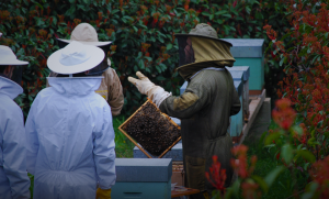 Dia de Formação na JGS