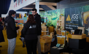 Segundo dia na MELIZA 2026