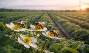 O Impacto das Abelhas na Agricultura: Porque a Perda de Polinizadores Pode Custar Milhões