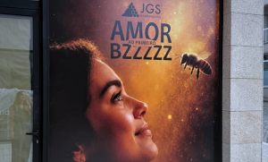 Amor ao primeiro BZZZZ!