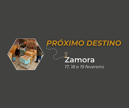 Próximo Destino ⇾ Zamora