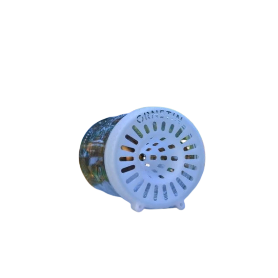 Vista frontal da Armadilha para Vespa Asiática Ornetin