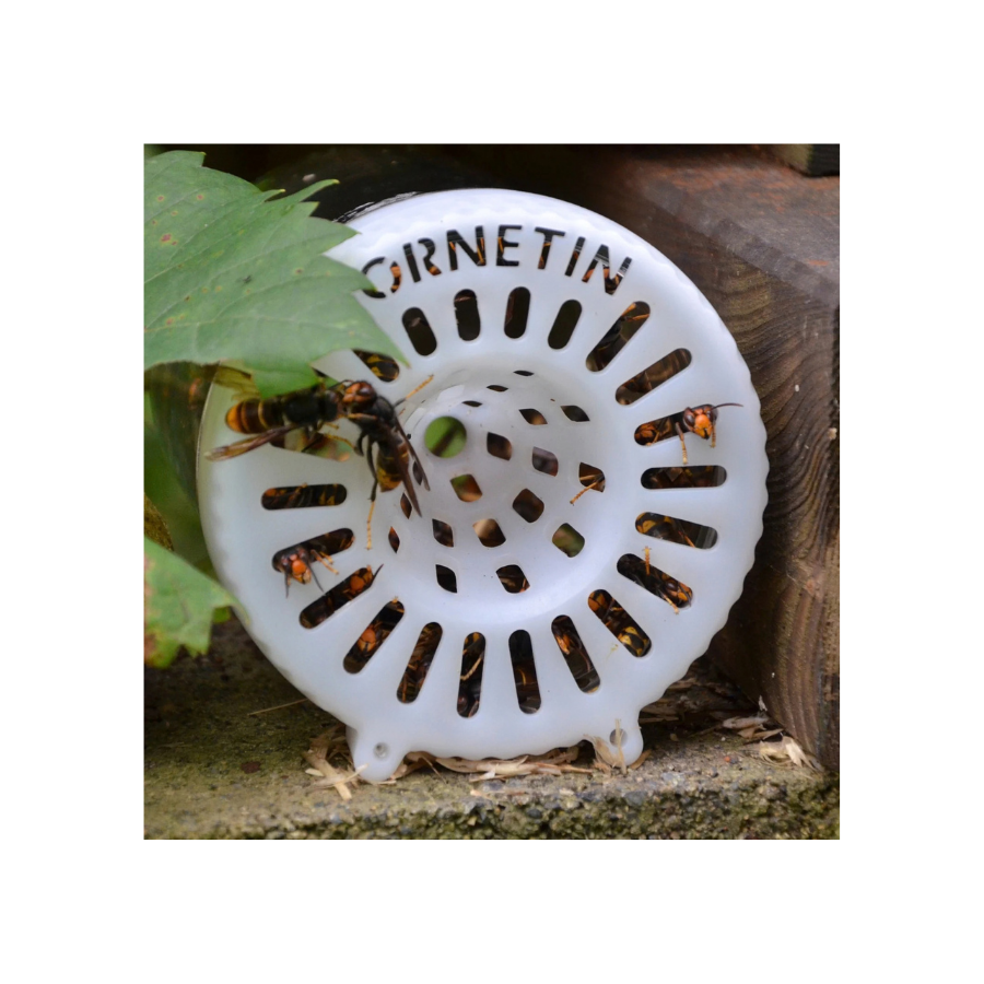 Vista frontal da Armadilha para Vespa Asiática Ornetin