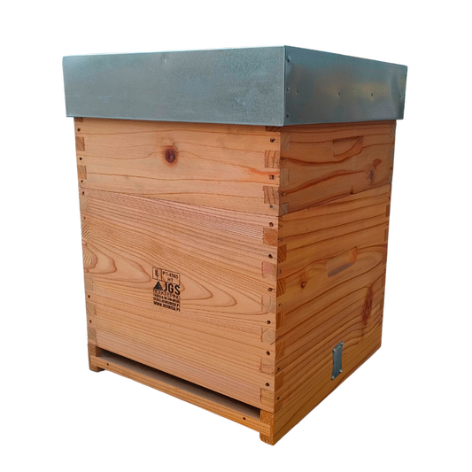 Colmeia Lusitana Malhete em Criptoméria