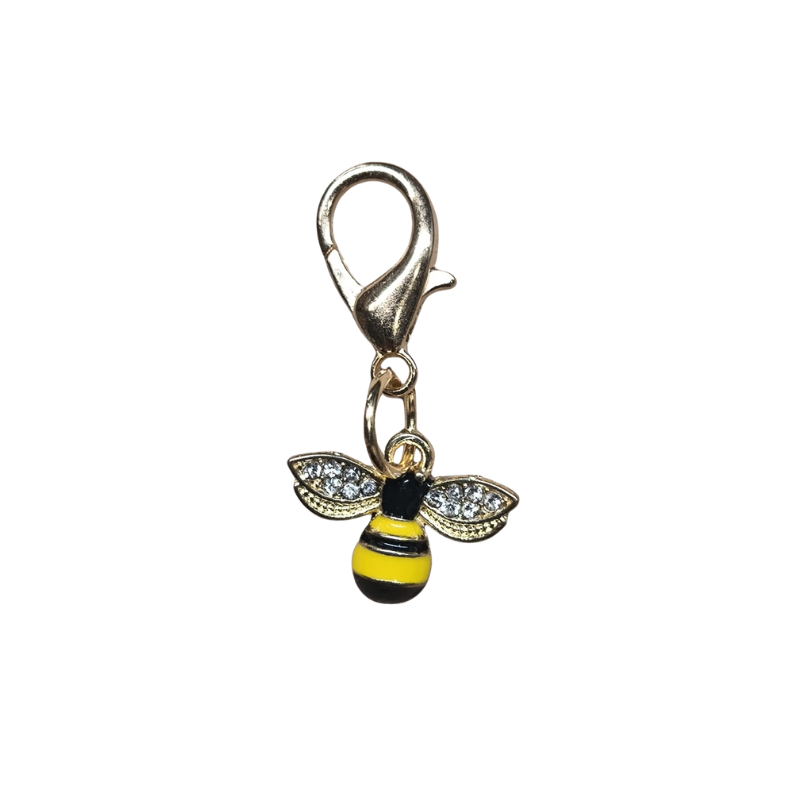 Vista frontal
