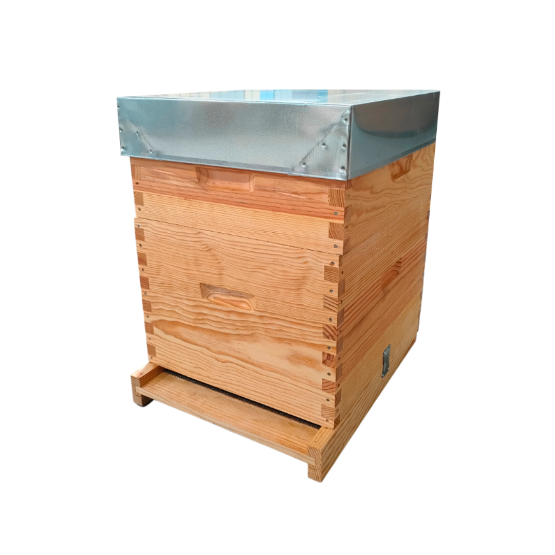 Colmeia Dadant Malhete