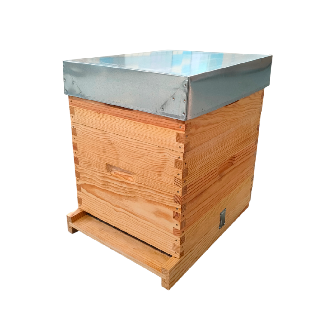 Colmeia Dadant Malhete