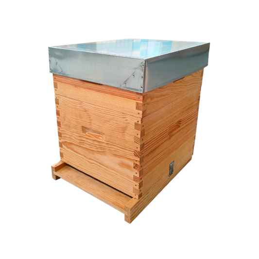 Colmeia Dadant Malhete