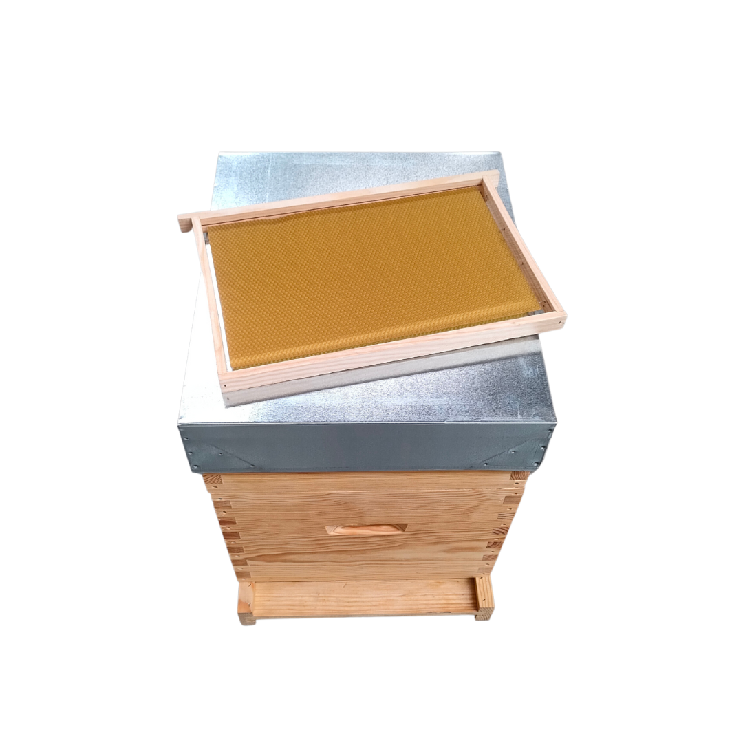 Colmeia Dadant Malhete com Cera