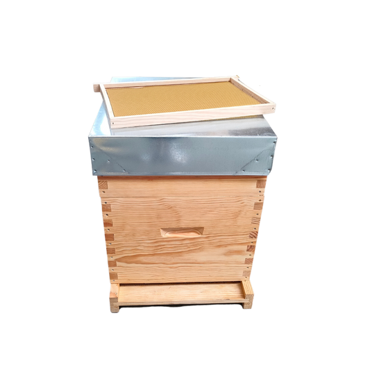 Colmeia Dadant Malhete com Cera