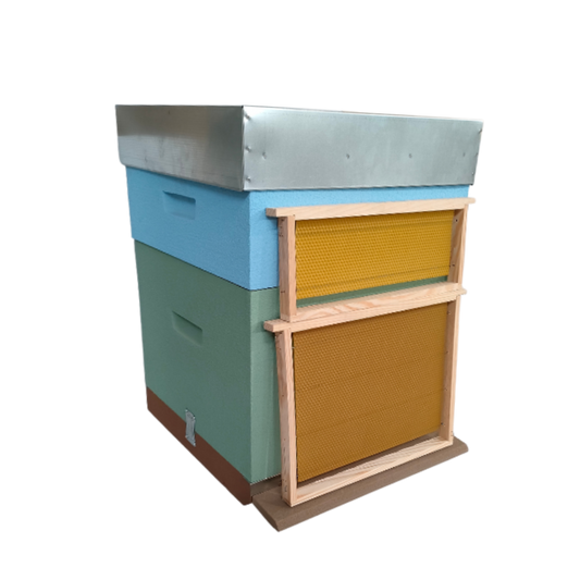 Colmeia Lusitana com Cera