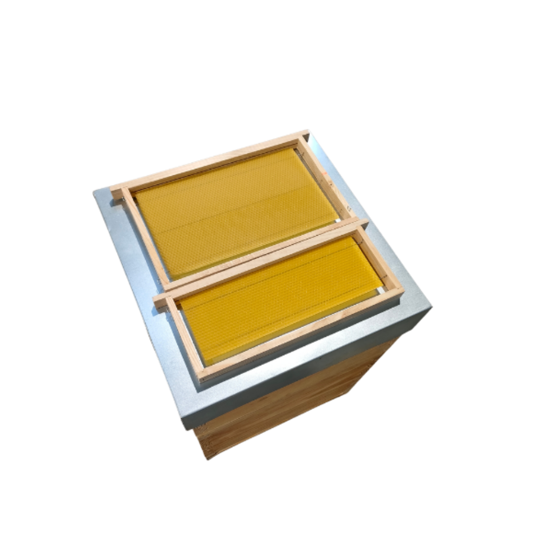 Colmeia Lusitana Malhete com Cera