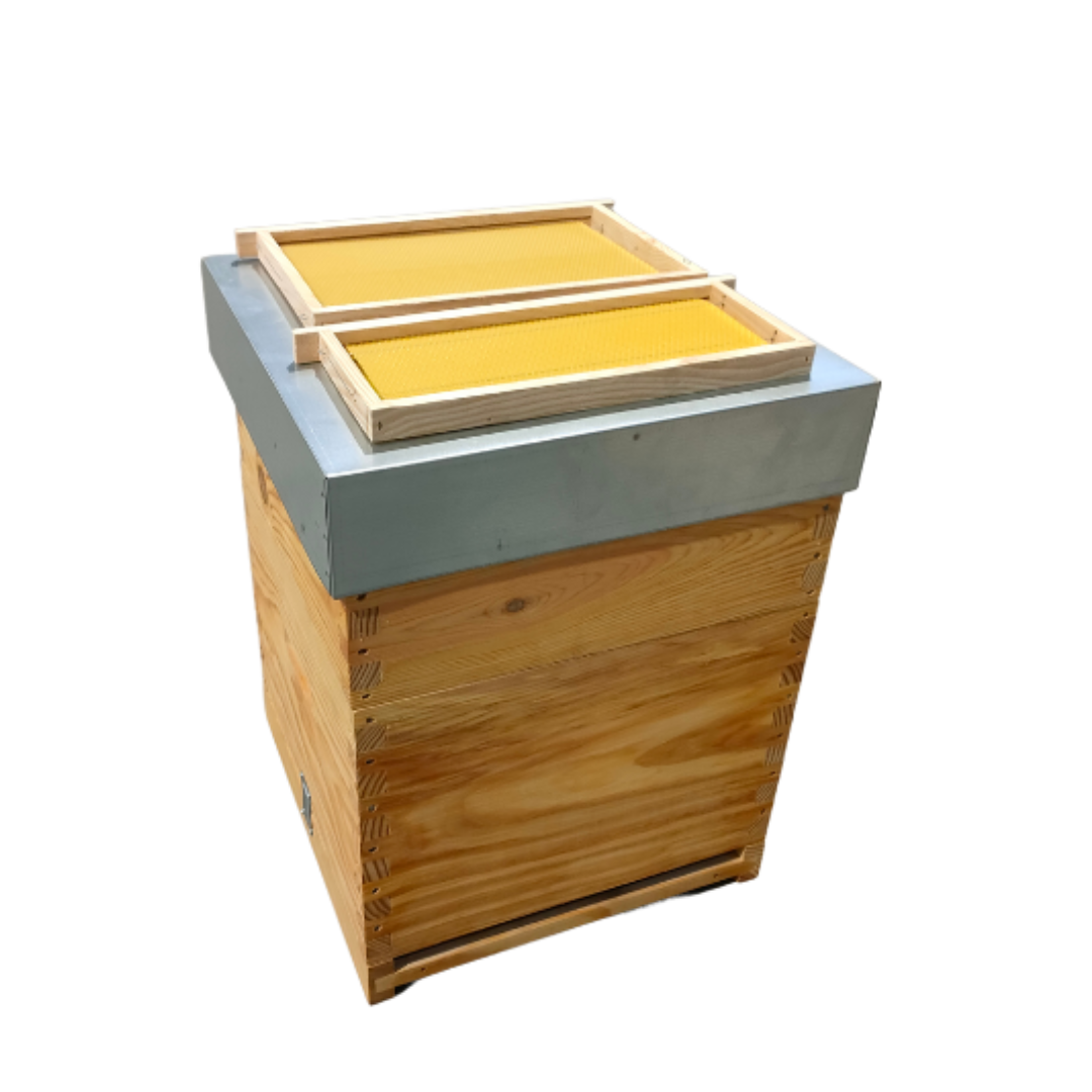 Colmeia Lusitana Malhete com Cera