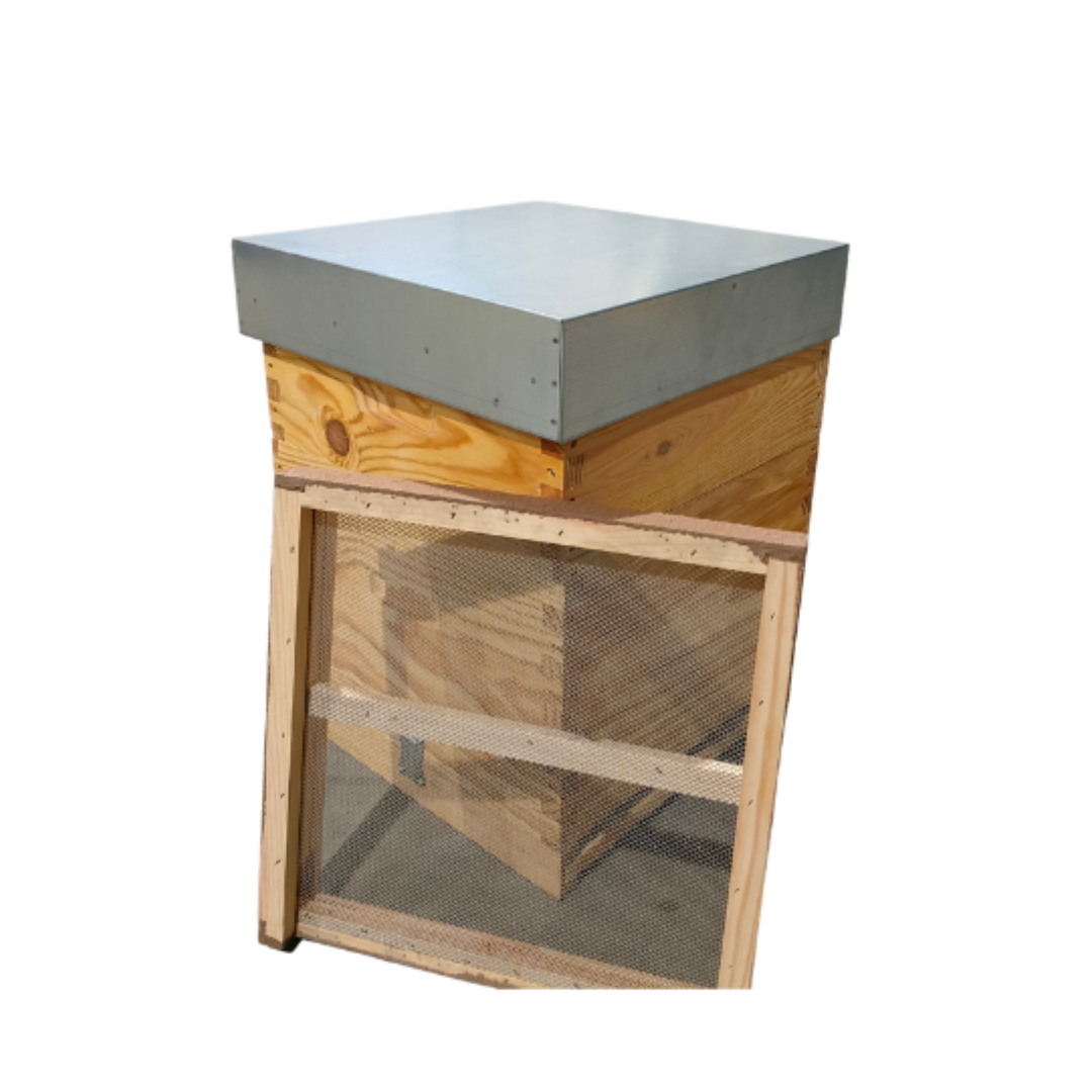 Colmeia Lusitana Malhete com Estrado Sanitário