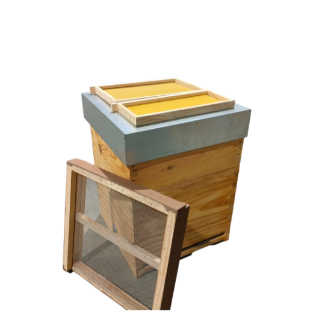 Colmeia Lusitana Malhete com Estrado Sanitário e Cera