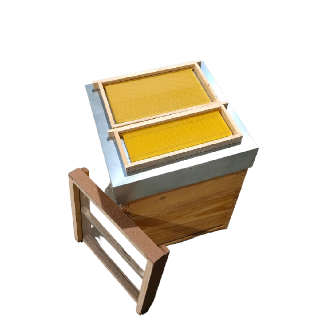 Colmeia Lusitana Malhete com Estrado Sanitário e Cera