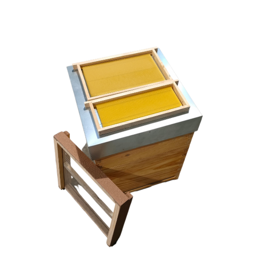 Colmeia Lusitana Malhete com Estrado Sanitário e Cera