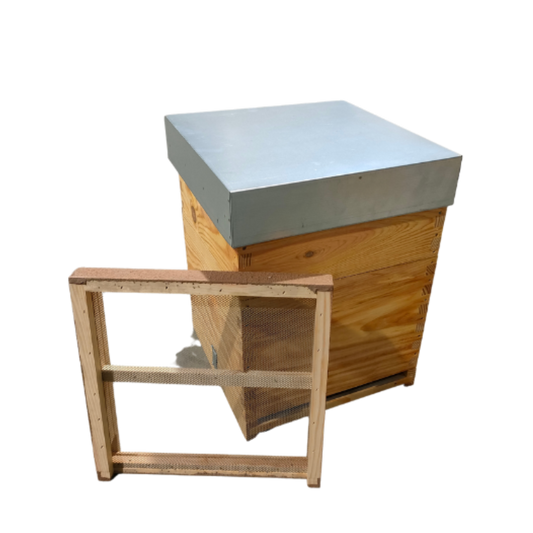 Colmeia Lusitana Malhete com Estrado Sanitário