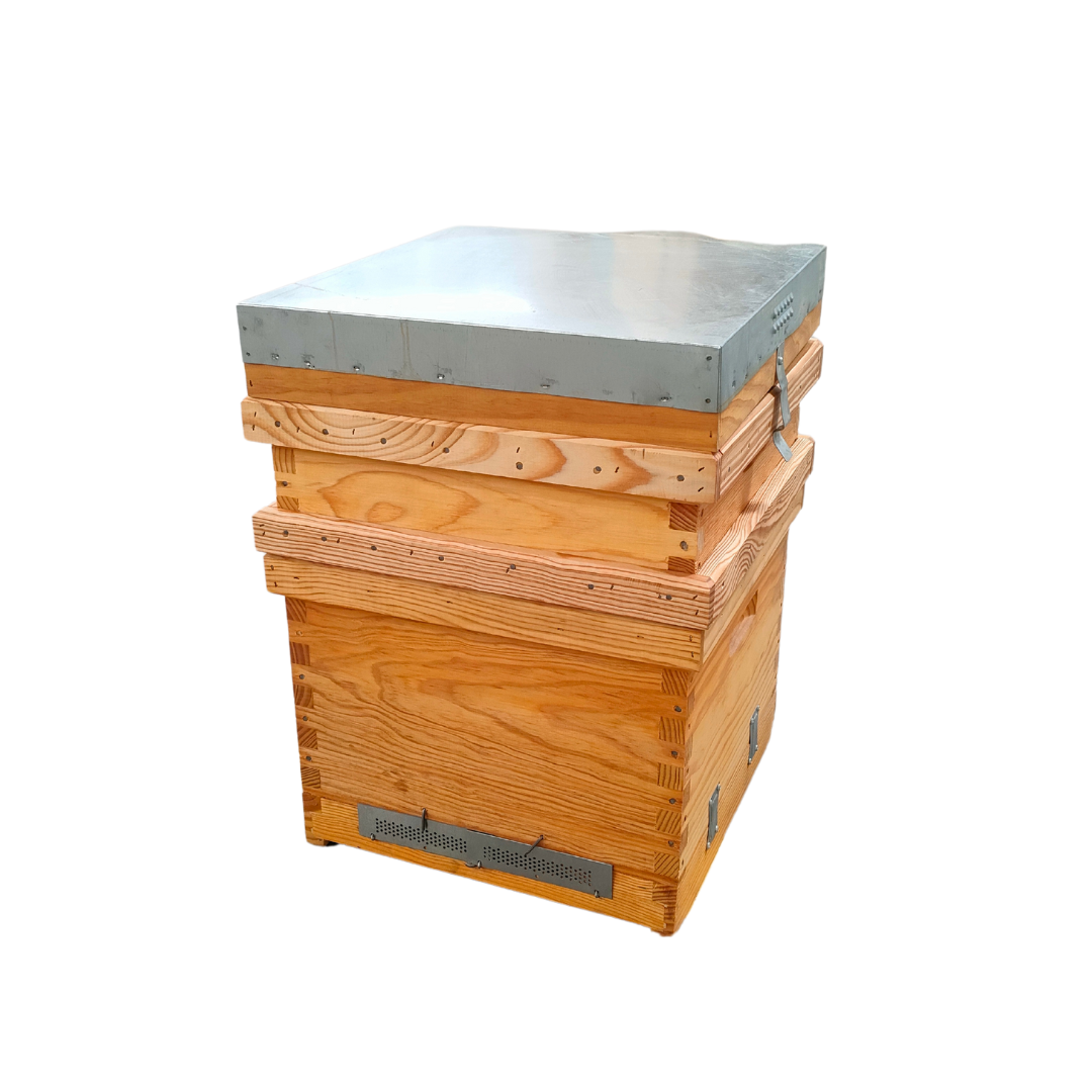 Ruche de transhumance Lusitanienne Malhete