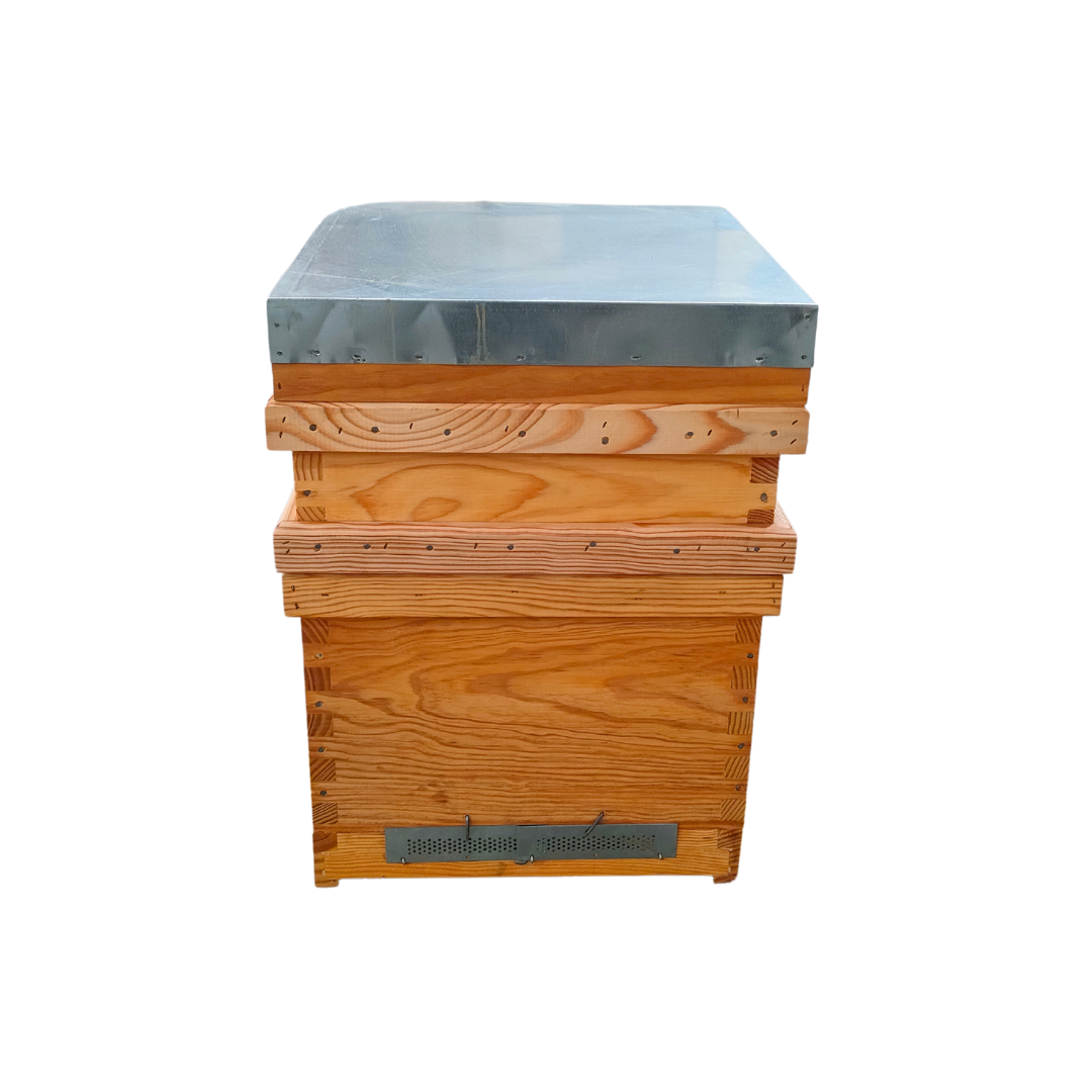 Ruche de transhumance Lusitanienne Malhete