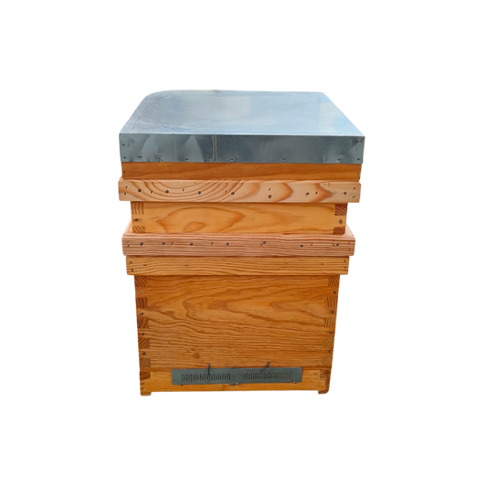 Colmeia Lusitana Malhete Transumância