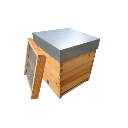 Colmeia Reversível com 1/2 Alça Malhete e Estrado Sanitário