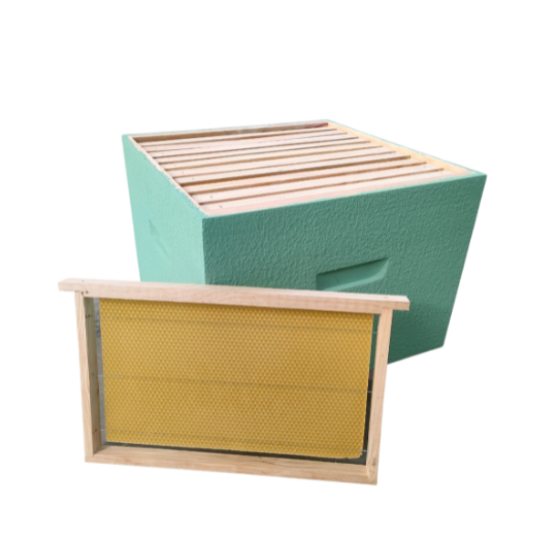 Ninho Lusitana com Cera