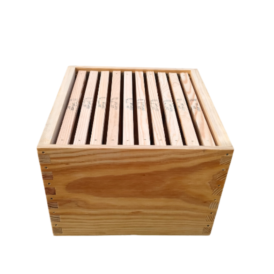 Nid Malhete Lusitana