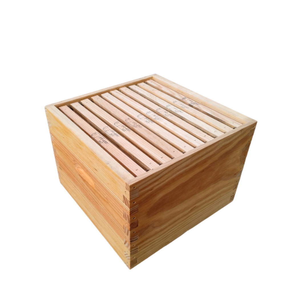 Nid Malhete Lusitana