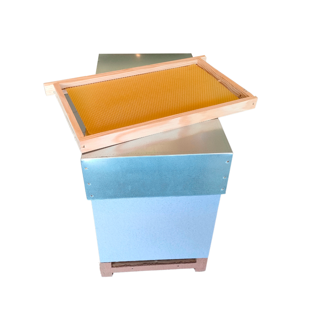 Núcleo Lusitano com Cera