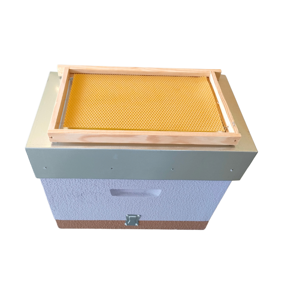 Núcleo Lusitano com Cera