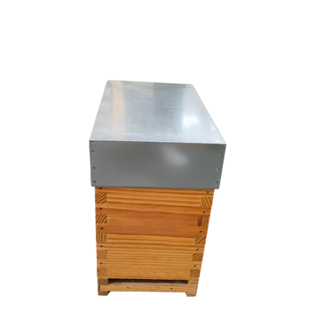 Núcleo Lusitano Malhete