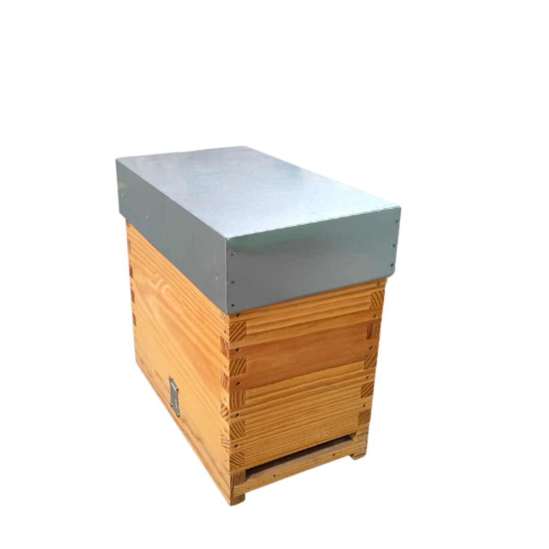 Núcleo Lusitano Malhete