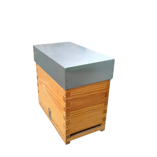 Núcleo Lusitano Malhete