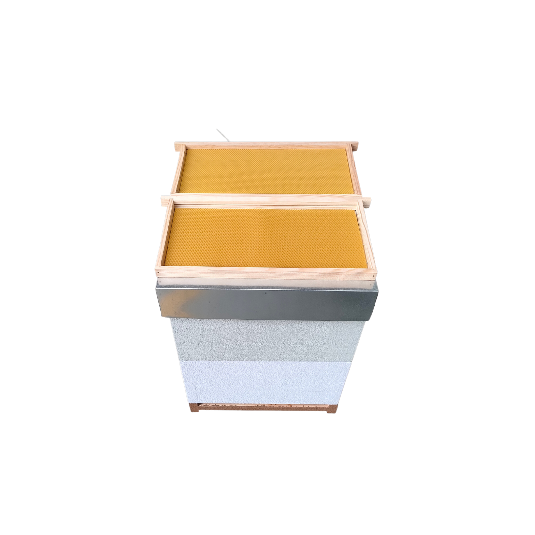 Colmeia Langstroth com Cera