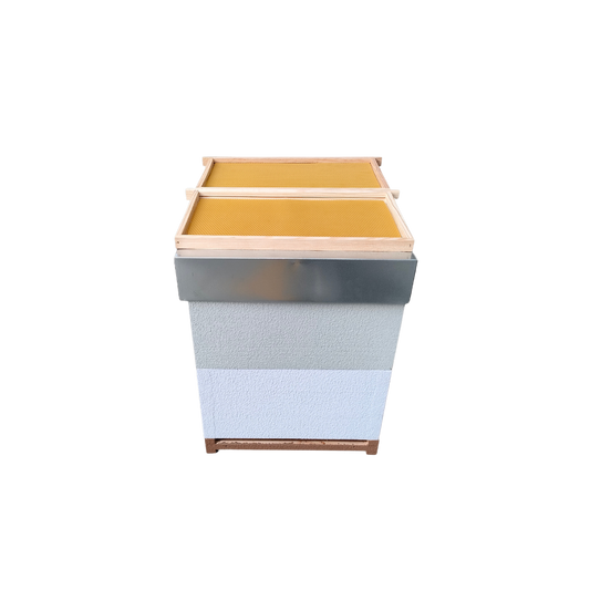 Colmeia Langstroth com Cera