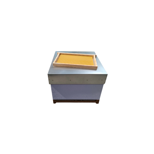 Colmeia Reversível sem Alça com Cera