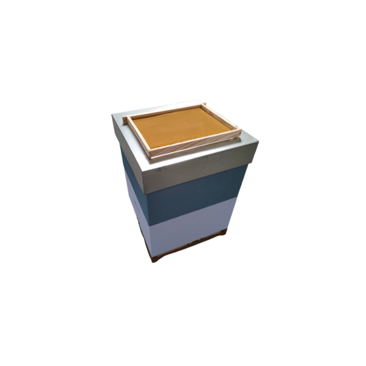 Colmeia Reversível com Cera