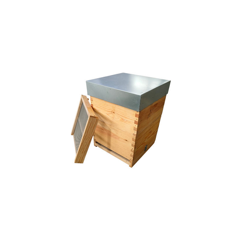 Colmena Reversivel Malhete con Fondo Sanitario