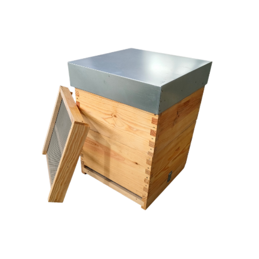 Colmeia Reversível Malhete 10Q+10Q com Estrado Sanitário