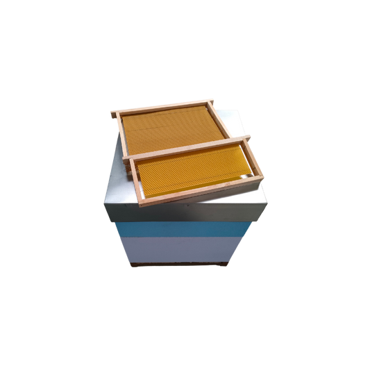 Colmeia Reversível com 1/2 Alça com Cera