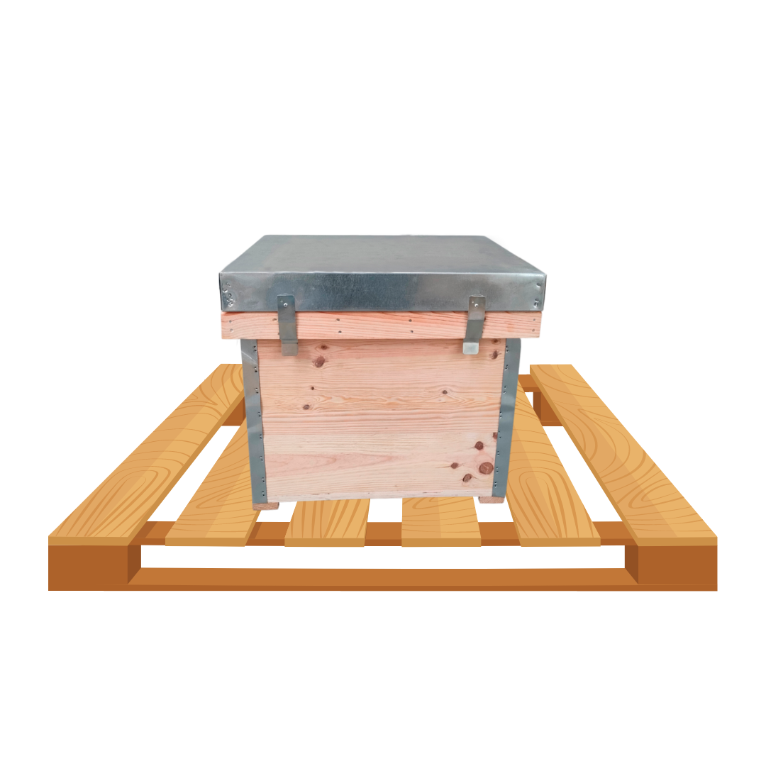 Palete com 16 Colmeias Layens em Cru