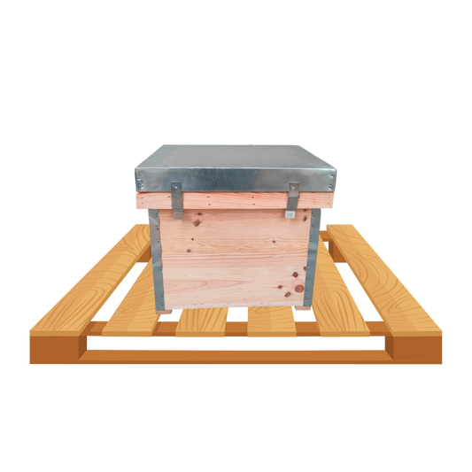 Palete com 16 Colmeias Layens em Cru