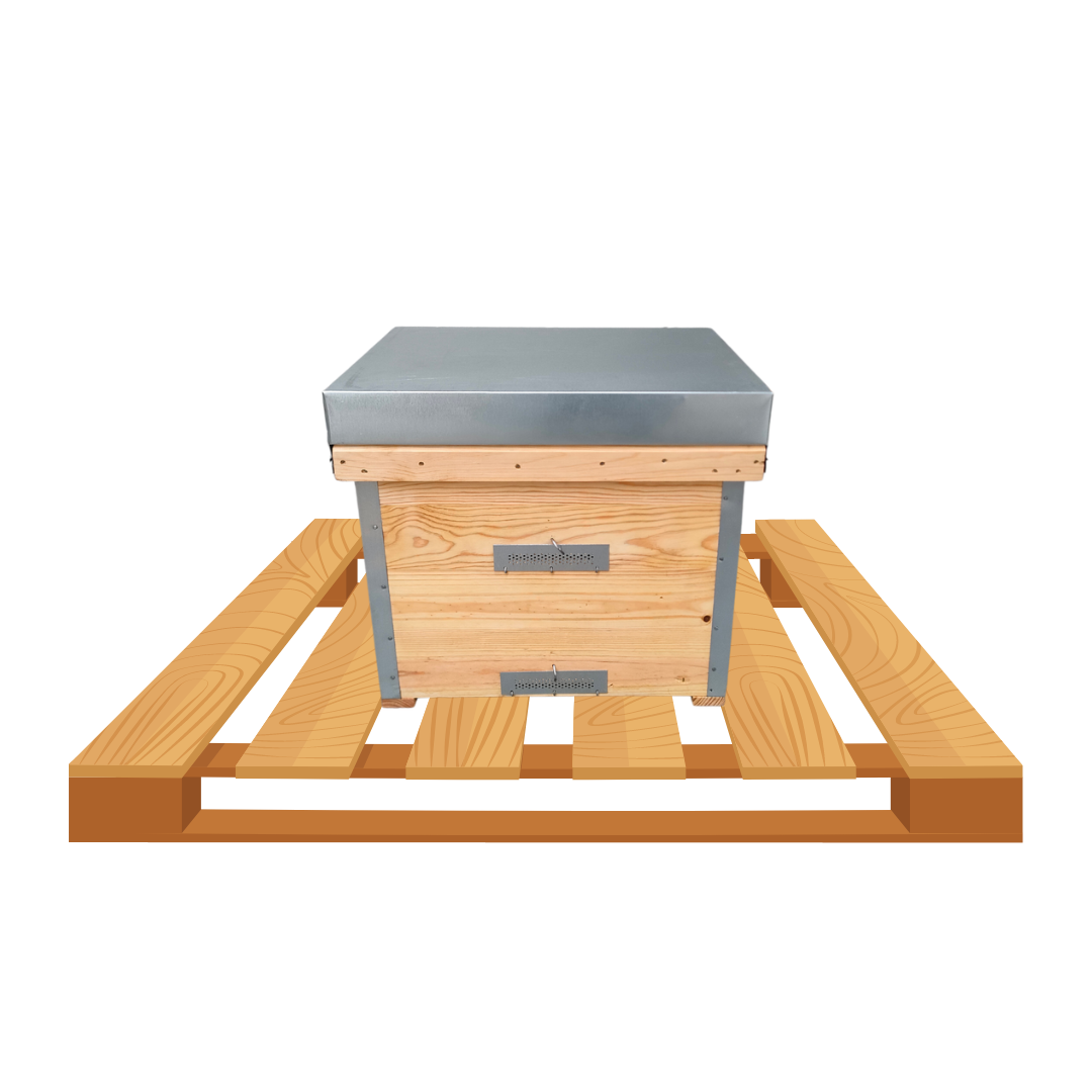 Palete 16 Colmeias Layens Óleo de Linhaça