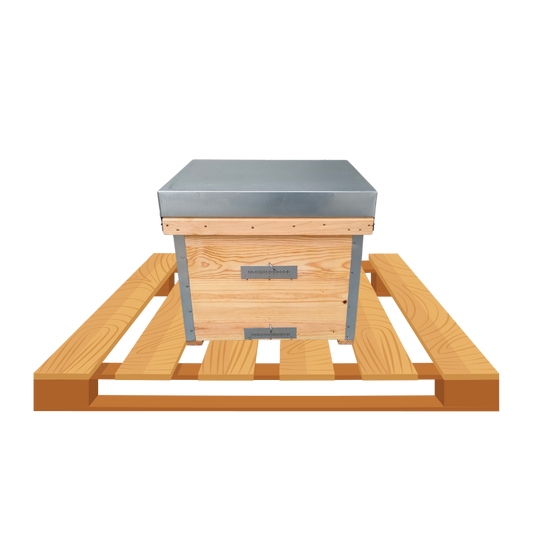 Palete 16 Colmeias Layens Óleo de Linhaça