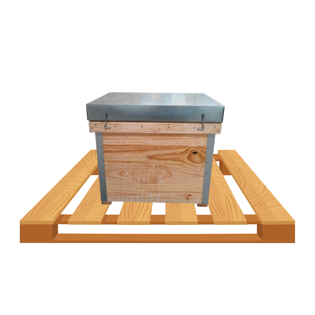 Palete com 16 Colmeias Layens em Parafina