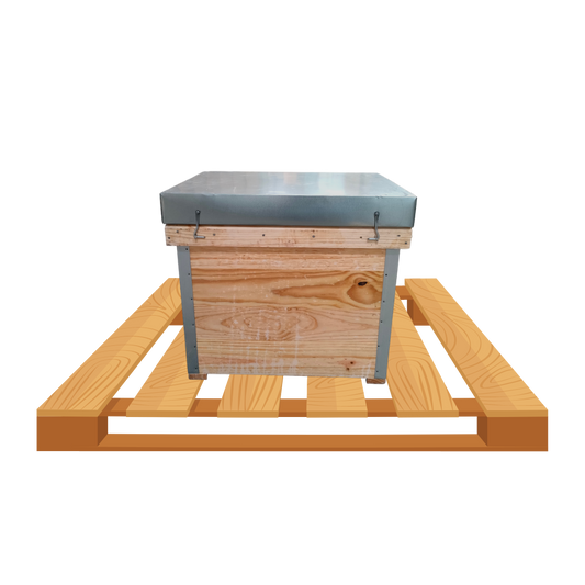 Palete com 16 Colmeias Layens em Parafina