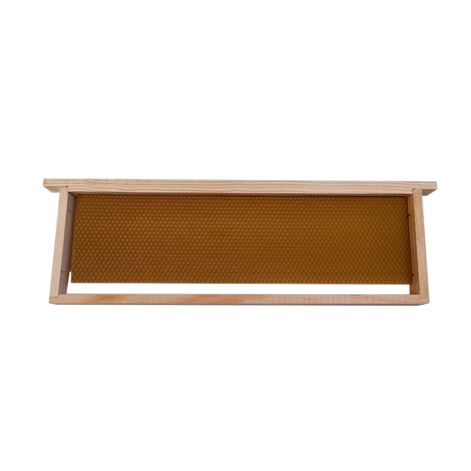 Quadro Meia Alça Langstroth com Cera